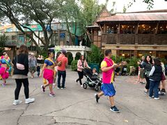 -奥兰多迪士尼动物王国乐园