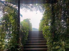 -云和湖仙宫景区