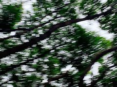 -雨花胜境