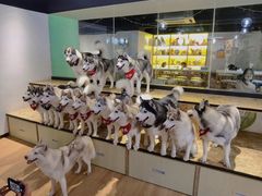 -Husky Go! 哈士奇体验馆·宠物咖啡厅狗咖