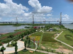 -芒洲湿地公园