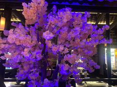 -绿茶餐厅(昆明世纪金源店)