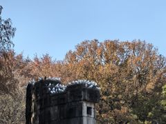 -音乐台