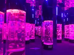 -成都浩海立方海洋公园