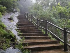-少华山国家森林公园