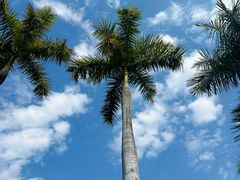 -德宏芒市国际机场