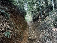 -莫干山风景区