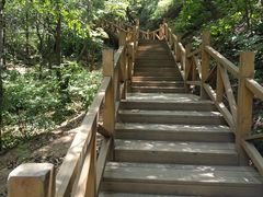 -大岭沟猕猴桃谷风景区