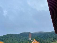 -深圳仙湖植物园