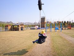 -上海长兴岛郊野公园