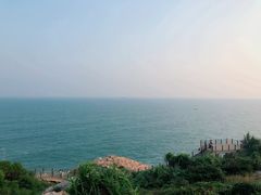 -广东惠东海龟国家级自然保护区