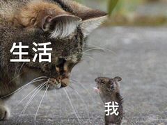 -幸福蓝海国际影城(上海三林店)