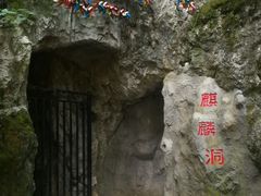 -黔灵山公园
