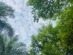 -苏州湾·王焰温泉