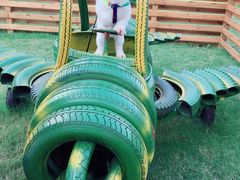 -太阳岛度假酒店