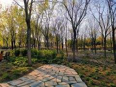 -东郊湿地公园