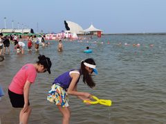 -碧海金沙