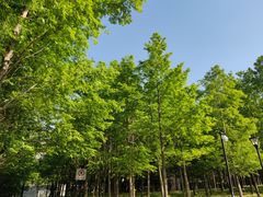 -上海山野camping·户外天幕烧烤·团建拓展营地