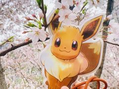 -西北湖绿化广场