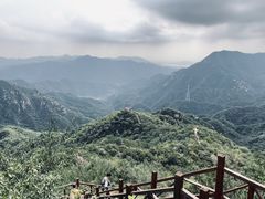 -大岭沟猕猴桃谷风景区