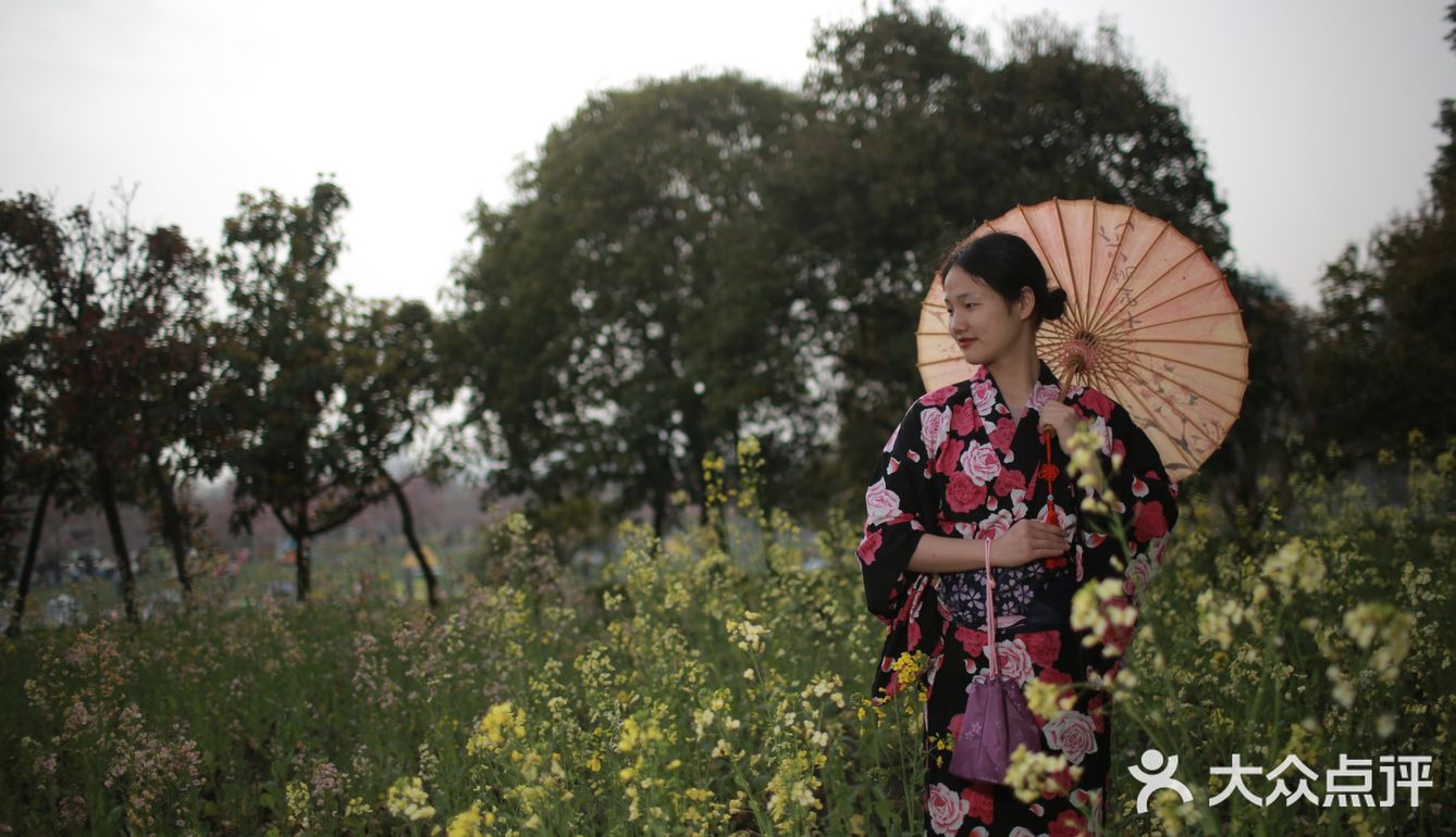 听说今年世纪公园种了一片彩色油菜花,果断安排上!