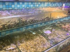 -四海蒸鲜蒸汽海鲜自助(北戴河店)