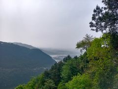 -铁山坪森林公园