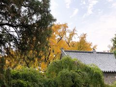 -浮来山风景区
