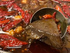 -黄潇洒老火锅(九眼桥宏济巷店)