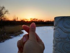 -大兴滨河森林公园