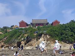 -仙人岛
