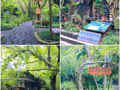 -海口火山口国家地质公园