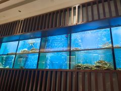 -珍宝海鲜JUMBO Seafood(尚嘉店)