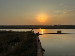 -盐城丹顶鹤湿地生态旅游区