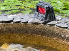 -明月山天沐温泉度假村