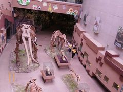 -陕西自然博物馆