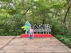 -大青沟风景区