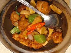 金不换三杯鸡-汤城小厨•粤菜•靓汤(望京凯德mall店)
