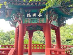 -龙头岩(Dragon Head Rock)