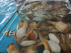 -清水湾3号(东方小周海鲜店)