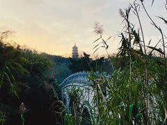 -重庆园博园