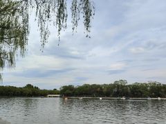 -北陵公园