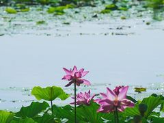 -颐和园