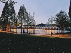 -渤公岛生态公园