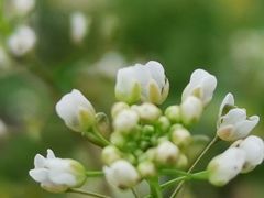 -长春公园(普阳街道)