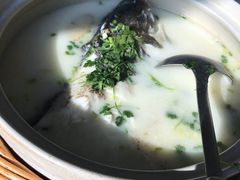 -天乐农家鱼头王(天目湖店)