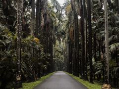 -华南国家植物园-售票处