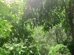 -白公馆
