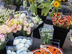 -宝鸡东道花鸟鱼虫市场(吉利花园商场店)