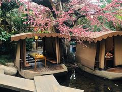 -世外桃源农庄·德清土菜(兴康南路店)